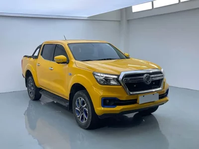 Dongfeng Ruiqi 6 New Energy