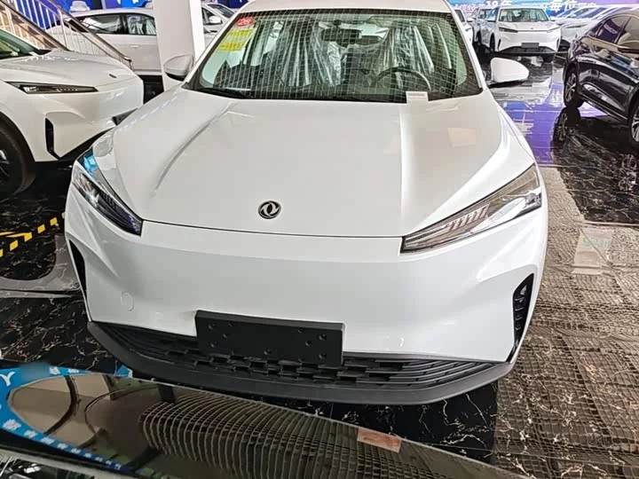 Dongfeng SKY EV01