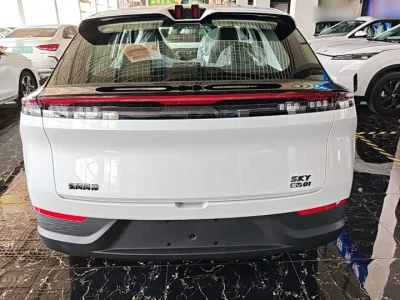 Dongfeng SKY EV01