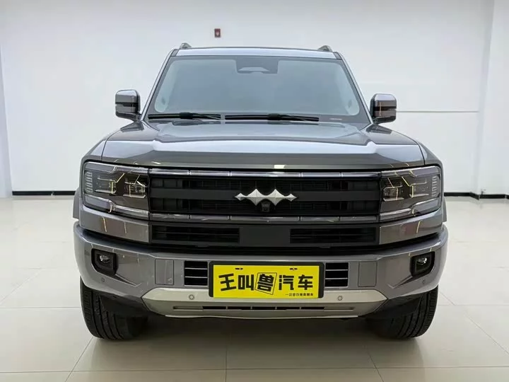 BYD Leopard Leopard 5