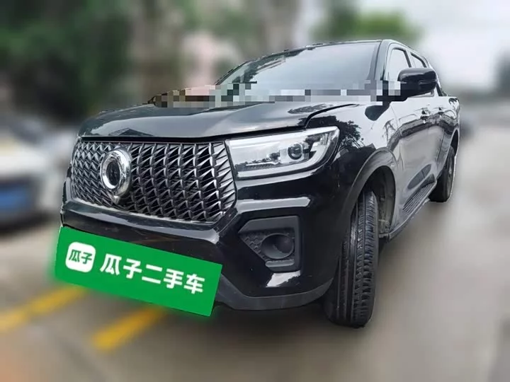 Great Wall gun