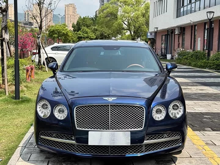 Bentley galloping