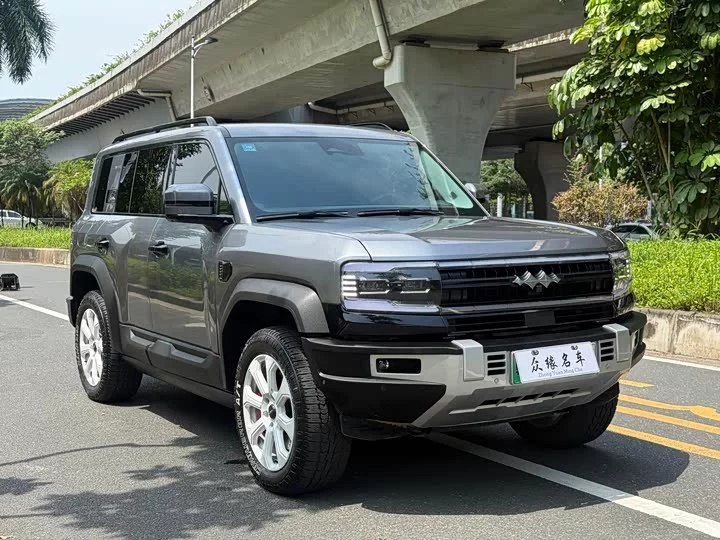 BYD Leopard Leopard 5