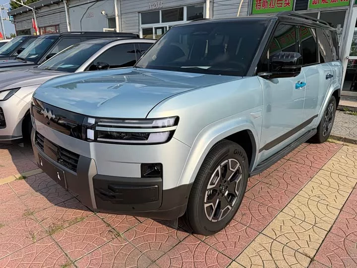 BYD Leopard Titanium 7