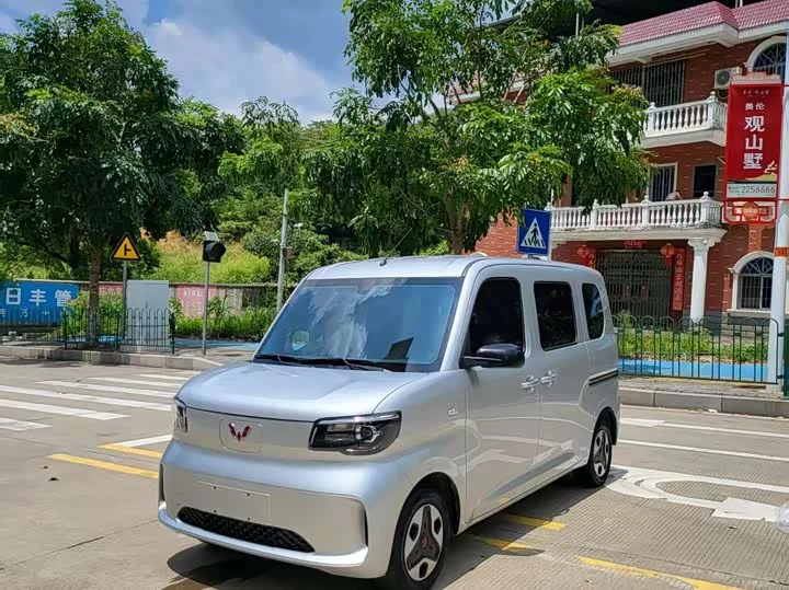 Wuling Zhiguang New Energy