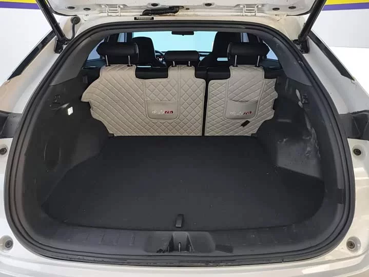 Oshan Z6