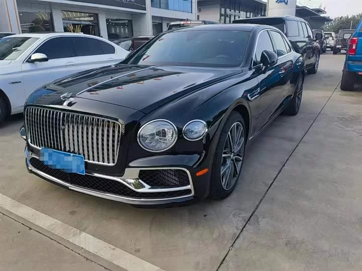 Bentley galloping