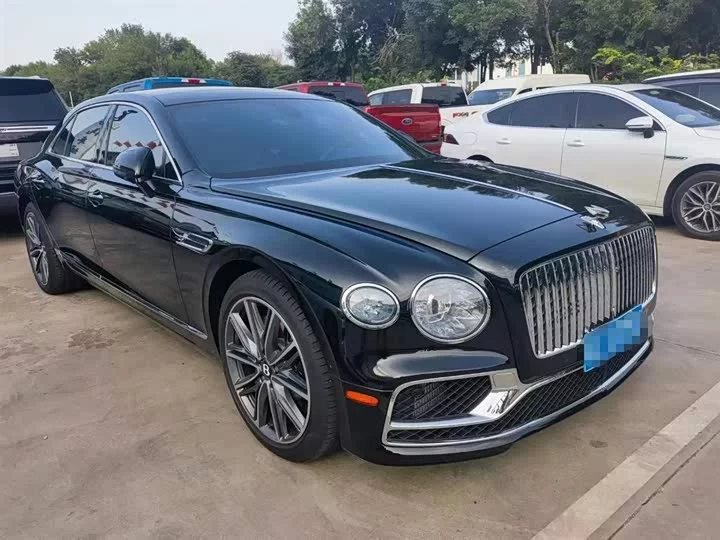 Bentley galloping