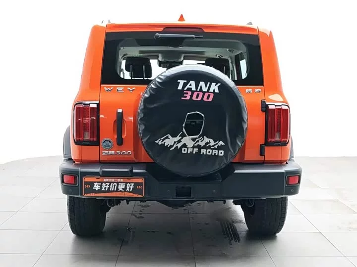 tank 300