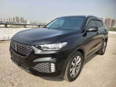 Wey VV6
