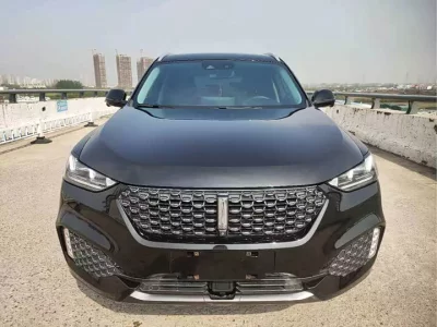 Wey VV6