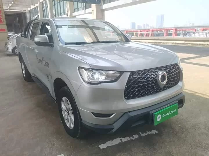 Great Wall gun