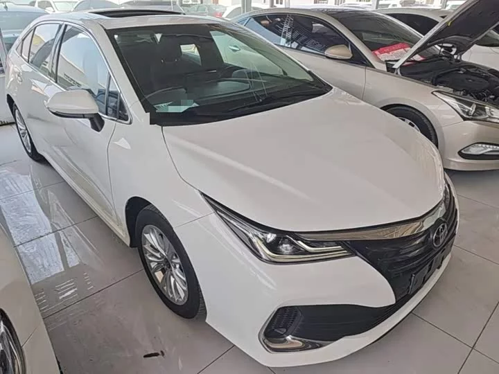 Toyota Asiatic lion