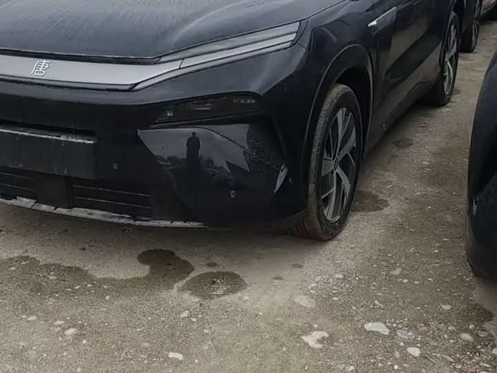 BYD Tang L