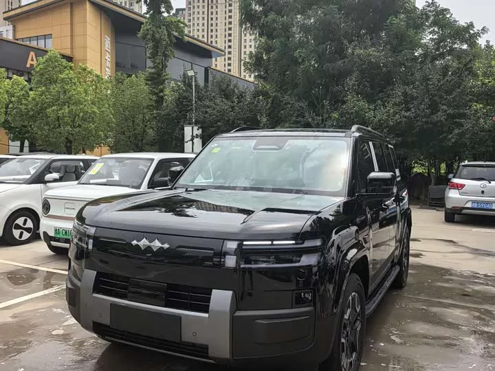 BYD Leopard Titanium 7