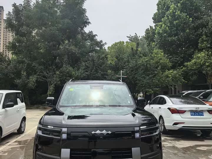 BYD Leopard Titanium 7