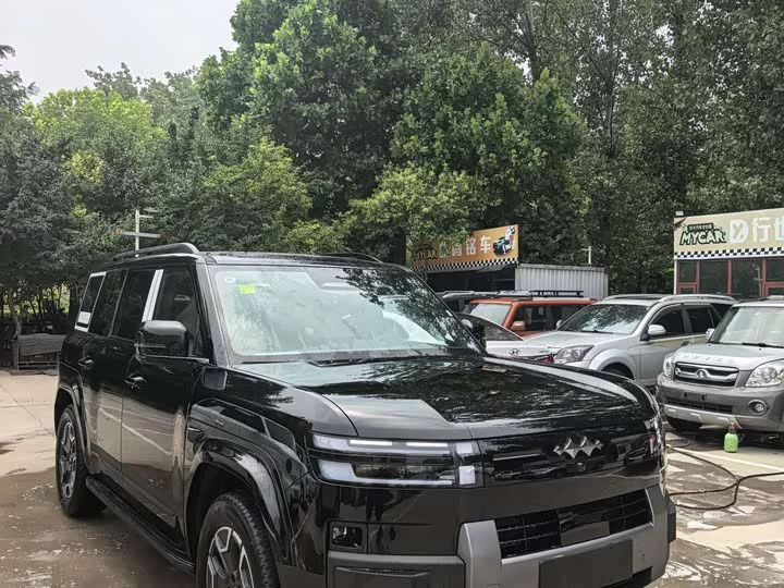 BYD Leopard Titanium 7