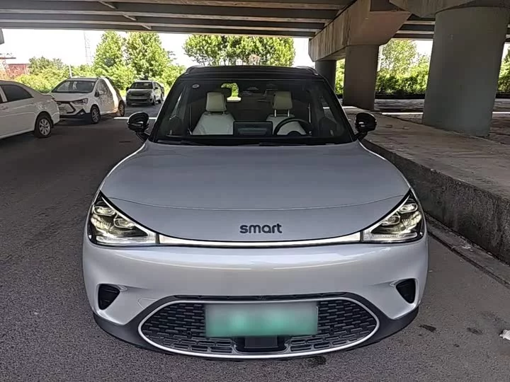 smart Elf #1