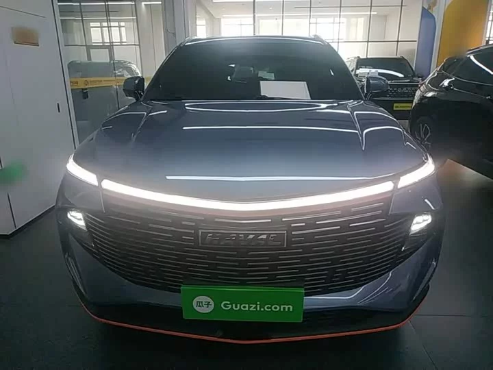 Haval Shenshou