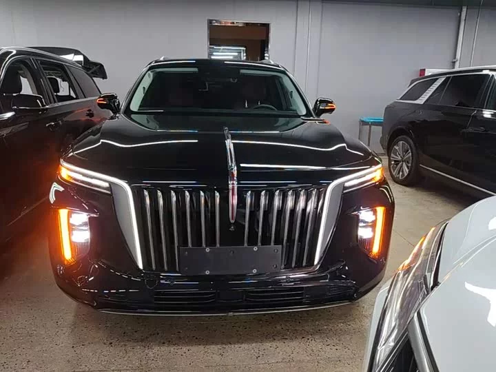 Hongqi E-HS9