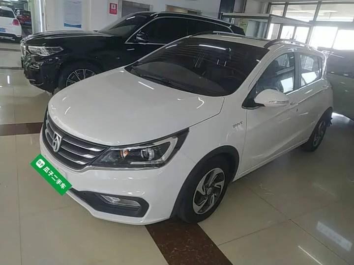 Baojun 310