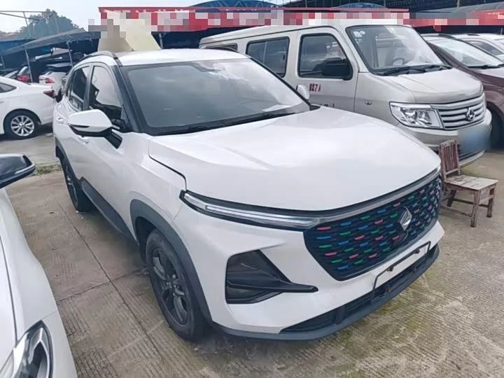 Baojun RS-3