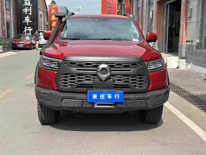 Great Wall gun