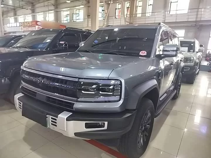 BYD Leopard Leopard 5