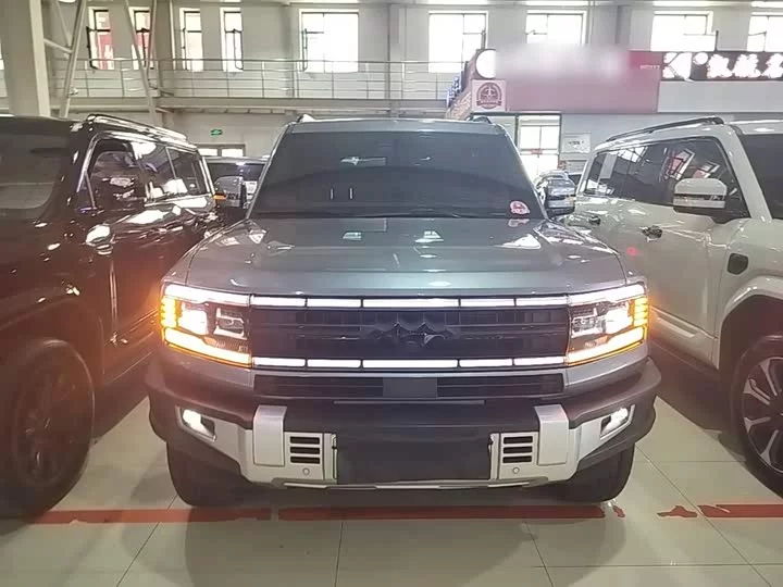 BYD Leopard Leopard 5