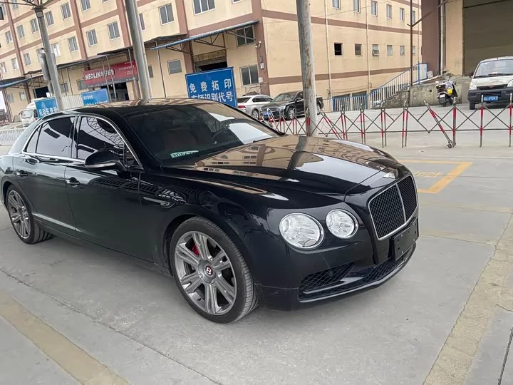 Bentley galloping