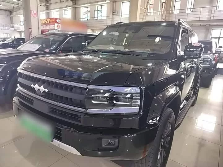 BYD Leopard Leopard 5