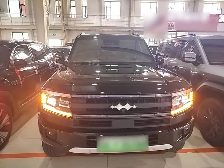 BYD Leopard Leopard 5