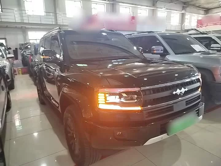 BYD Leopard Leopard 5