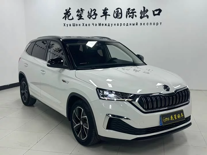 Skoda Comek