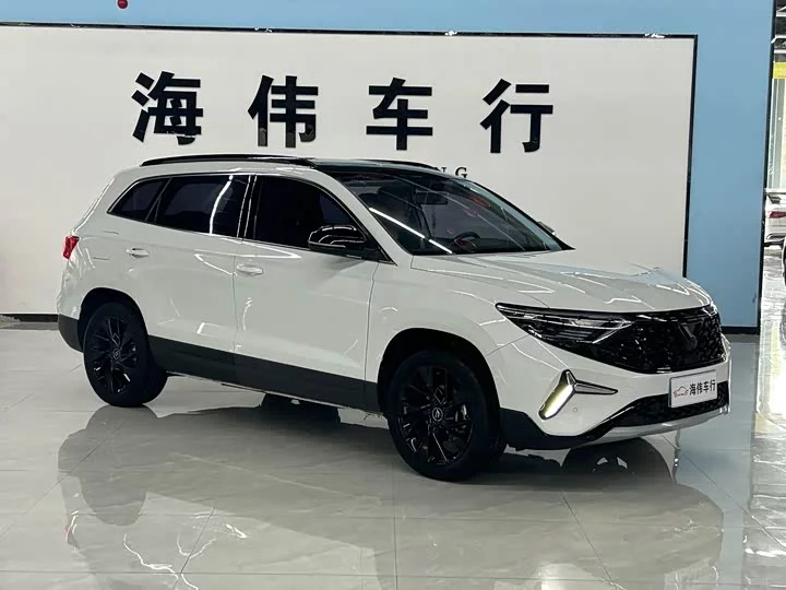 Jetta VS7
