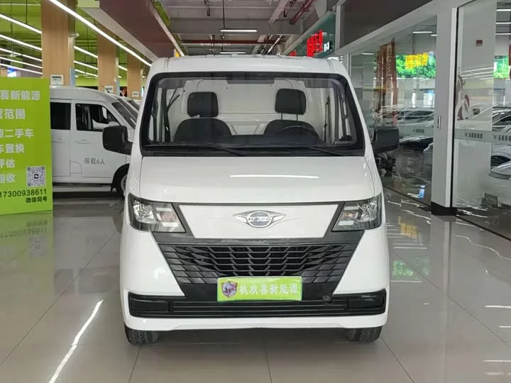 Foton Era EV6