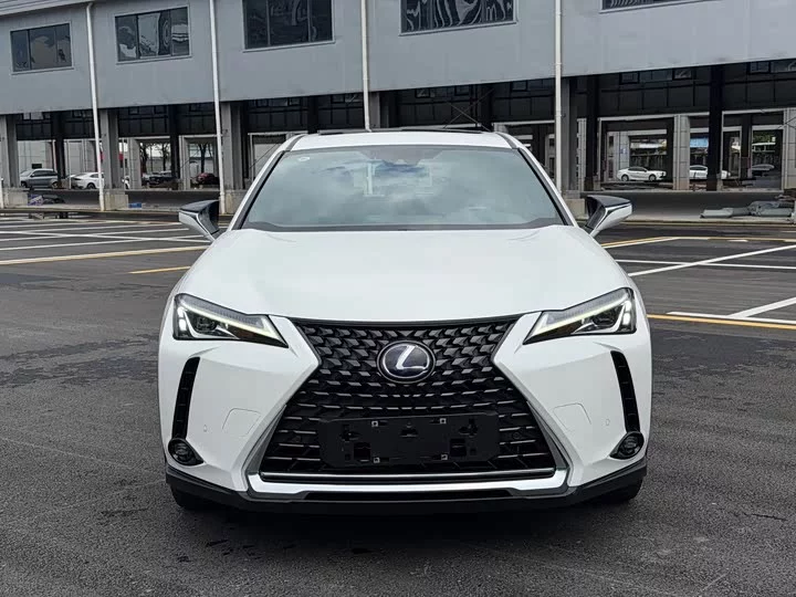 Lexus UX New Energy