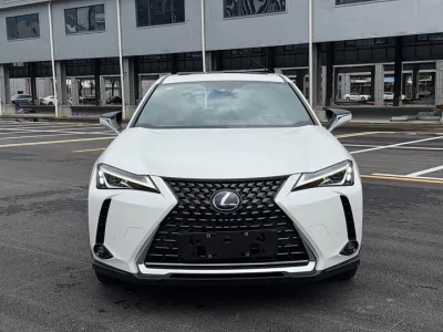 Lexus UX New Energy