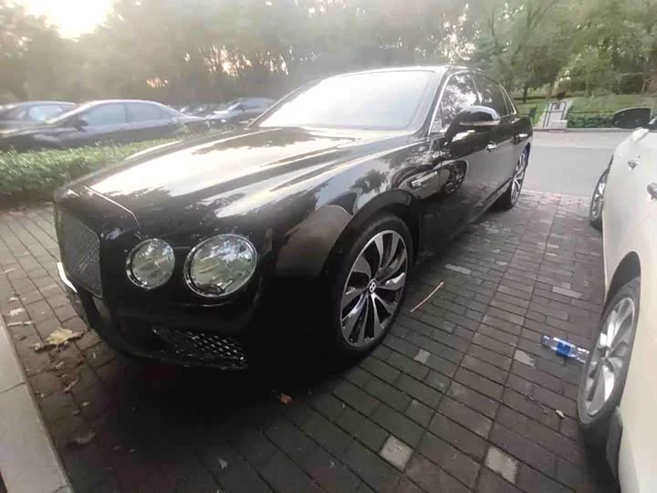 Bentley galloping