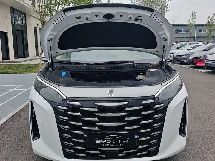 BYD summer