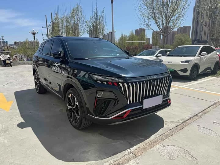 Dongfeng Haoji
