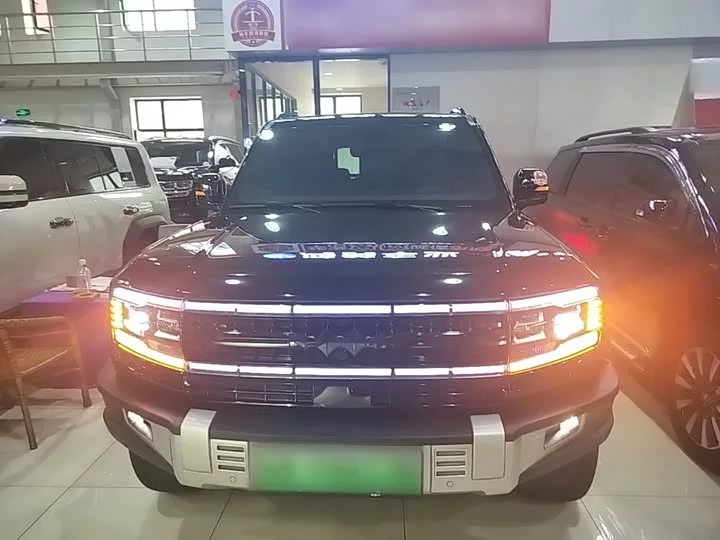 BYD Leopard Leopard 5