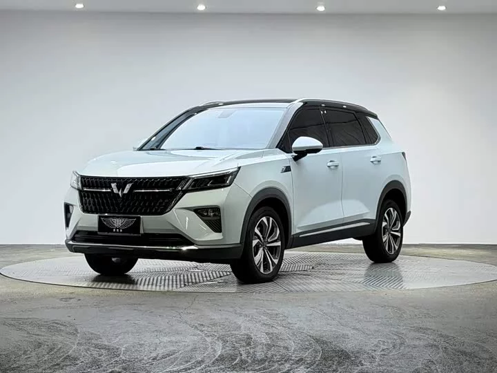 Wuling Star
