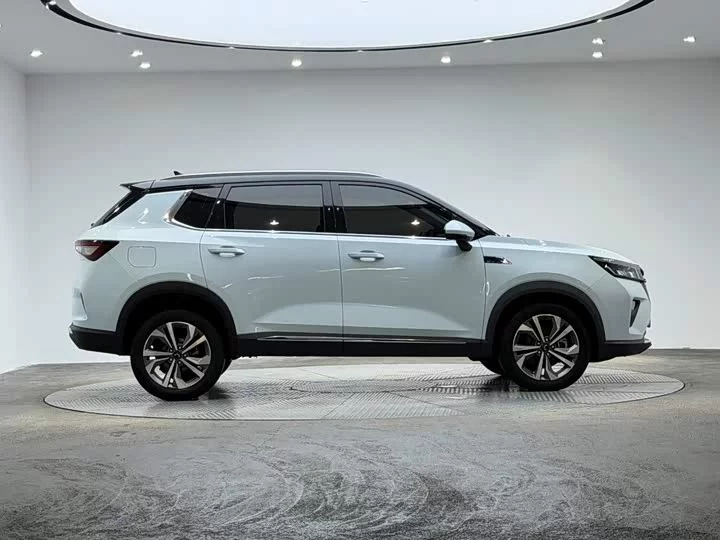 Wuling Star