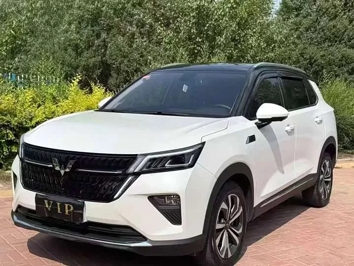 Wuling Star