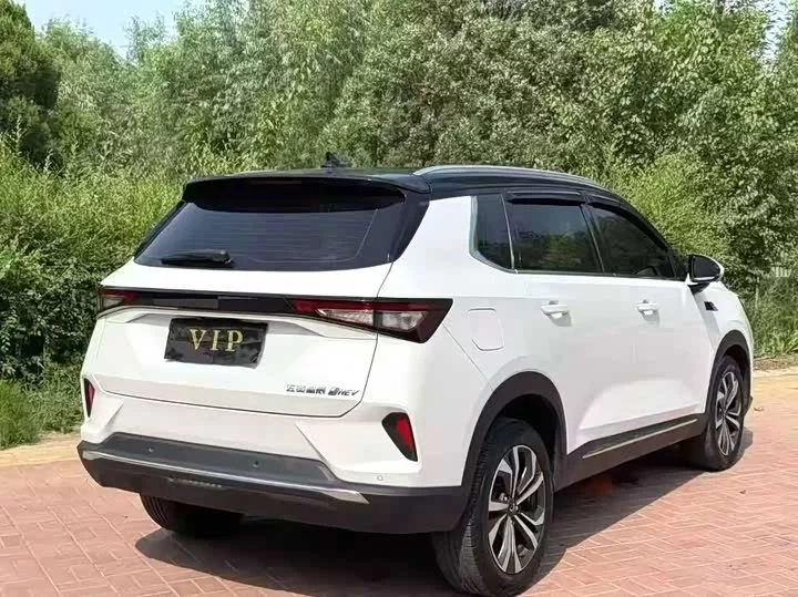 Wuling Star