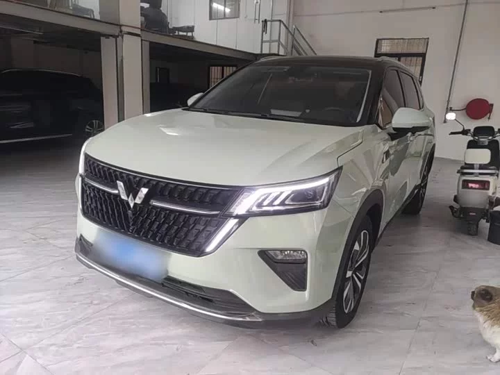 Wuling Star
