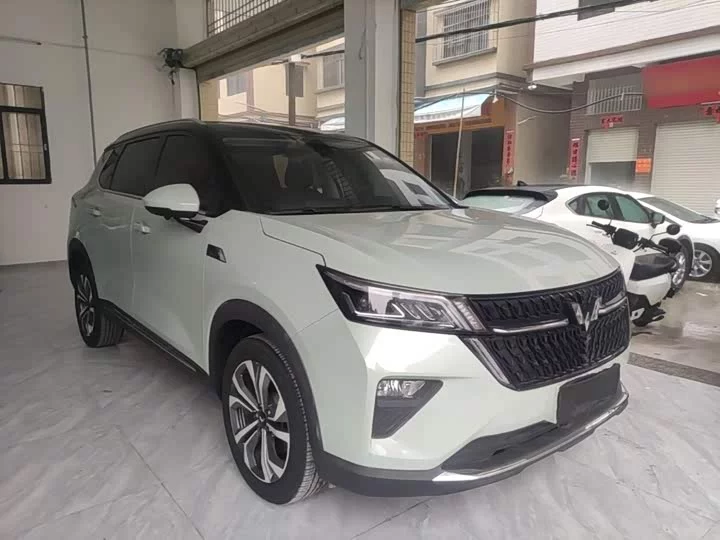 Wuling Star