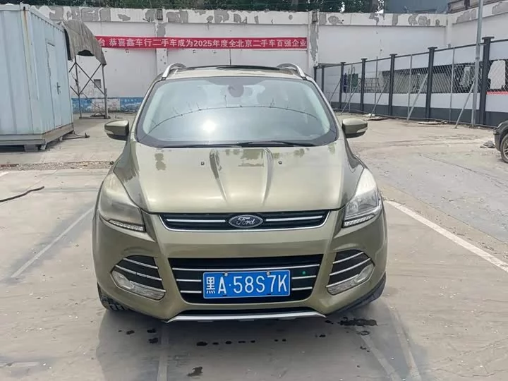 Ford wing tiger