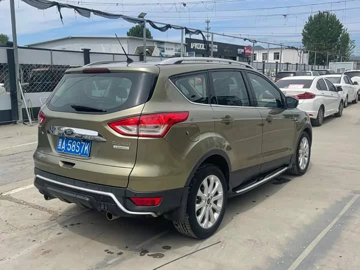 Ford wing tiger